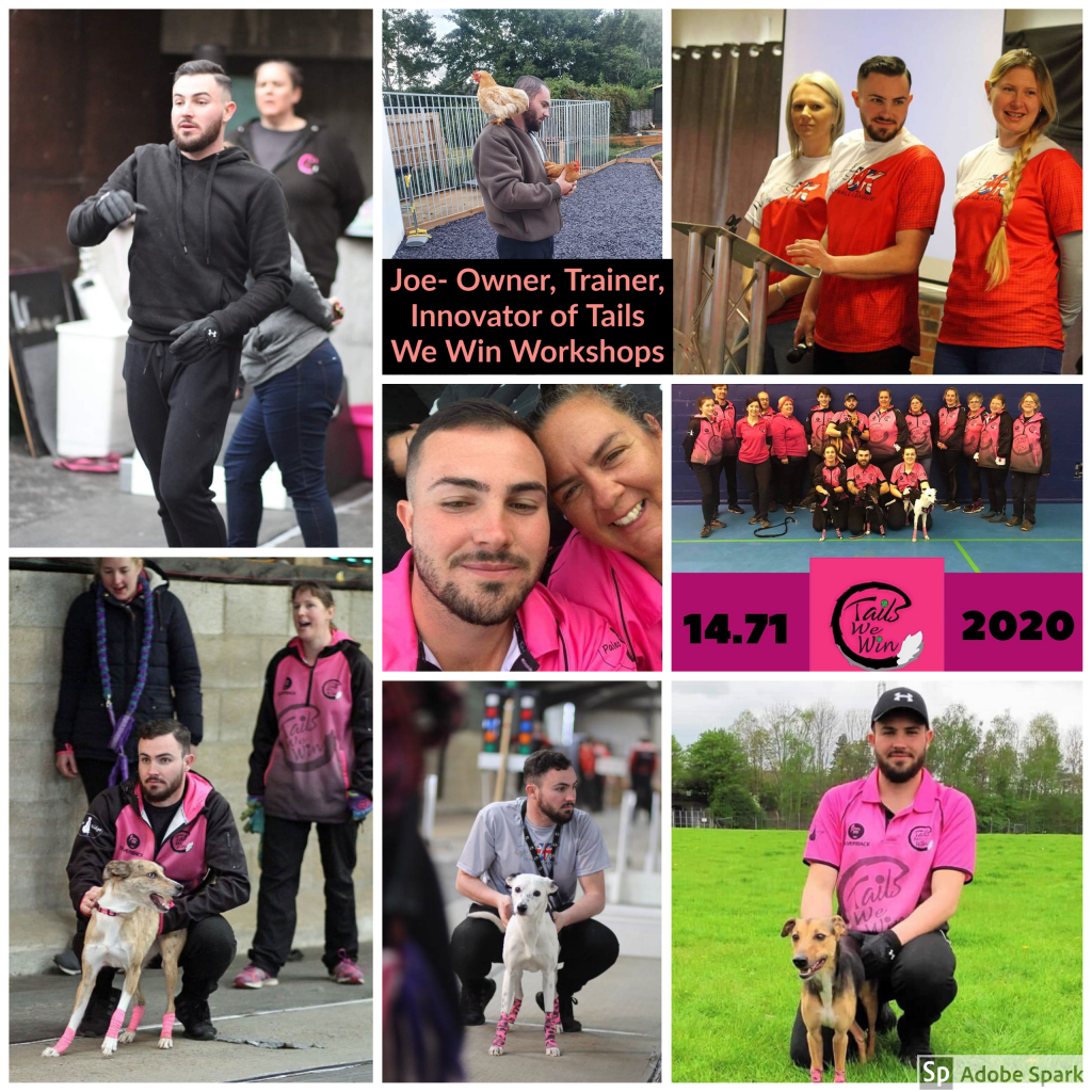 Collage of Joe Lamont and dogs he has trained